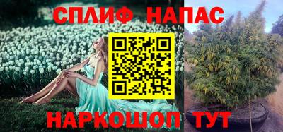 метадон Будённовск